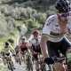 0_0_0_0_70__News_CanyonLuxStockWeb-7